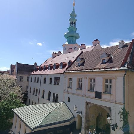 Krasny Byt S Vyhladmi V Historickom Centre ブラチスラヴァ 部屋 写真