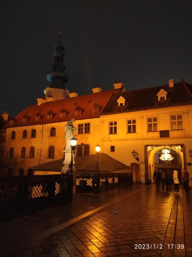 Krasny Byt S Vyhladmi V Historickom Centre ブラチスラヴァ エクステリア 写真